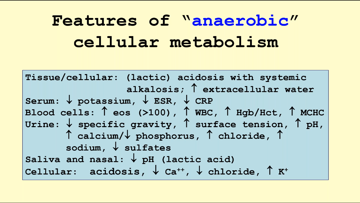 Aerobic Metabolism: The Key to Optimal Health